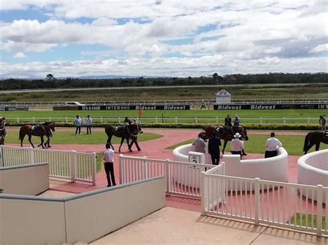 fairview racecourse south africa.
